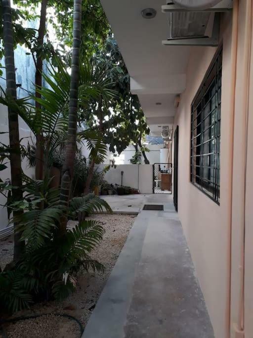 Estudio En Cancun Centro Cancún Exterior foto